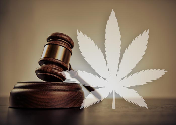 Marijuana Attorneys Grand Rapids, MI